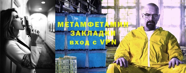 сатива Ельня