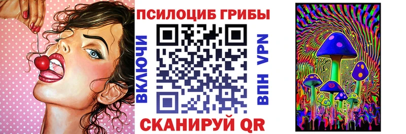 наркотики  Сургут  Галлюциногенные грибы прущие грибы 