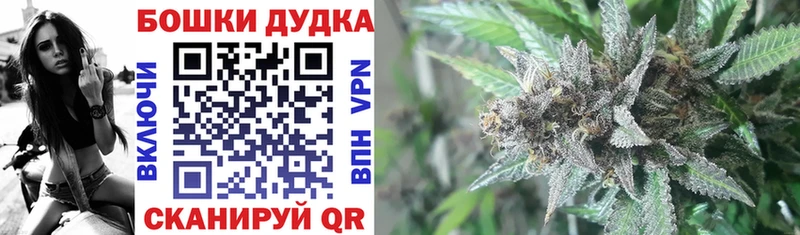 Канабис White Widow  купить наркотики цена  Сургут 
